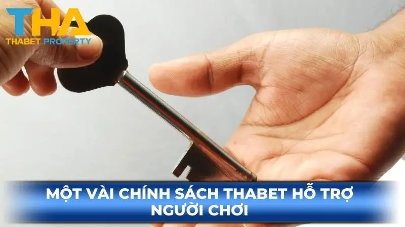 Một vài chính sách Thabet hỗ trợ người chơi
